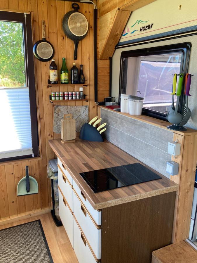 Villa Tiny House Anneliese Hunde Okay Oberbettingen Exterior foto